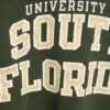Sudadera Champion Vintage  Universidad South Florida "M"