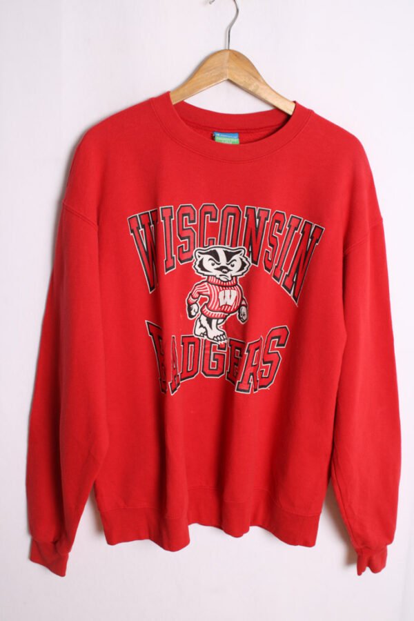sudadera sport vintage marca-29 Sudadera Champion Vintage Wisconsin Badgers "L"